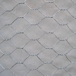 Hexagonal Wire Mesh